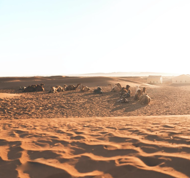 Maroc voyage Sahara