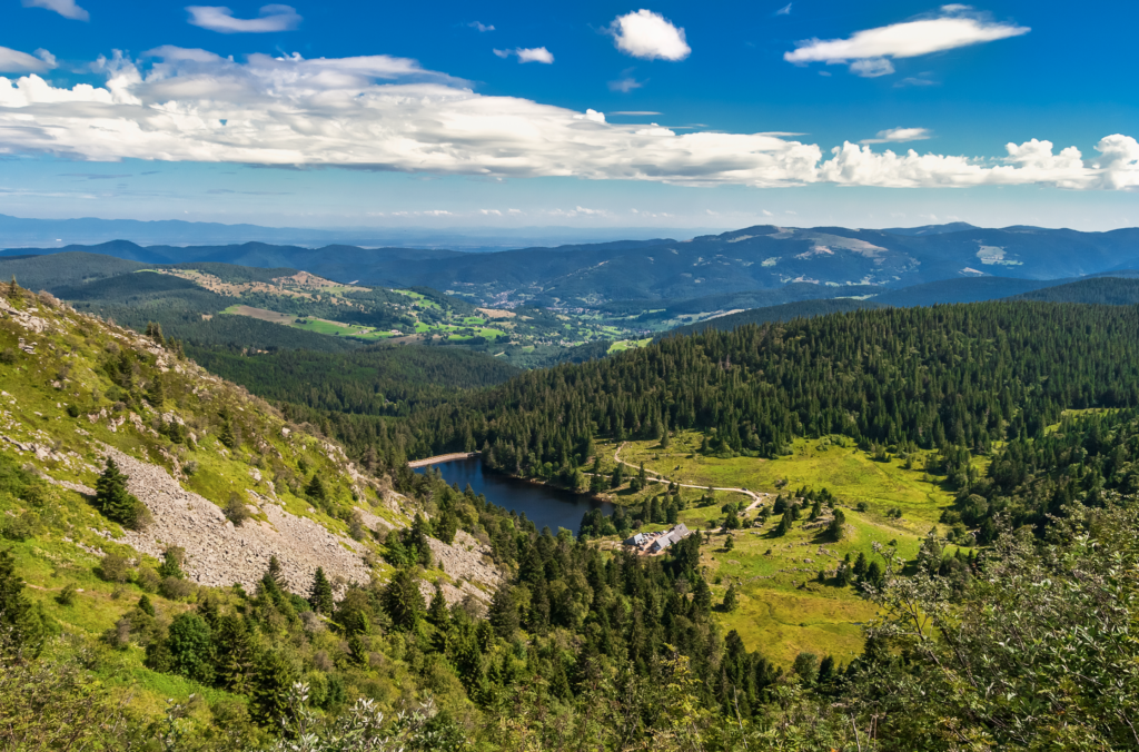 Paysage Vosges en été