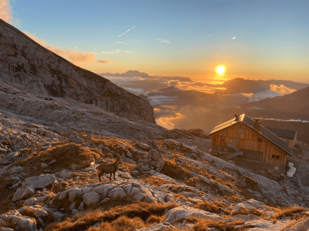Nos refuges de montagne coup de cœur : l’aventure perchée, version grandiose